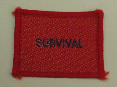 British Red Cross Youth 'Survival' badge