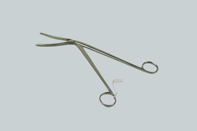 Large pair of cheatle forceps, used for taking medical equipment out of sterilisers.