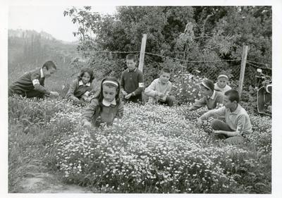 Black and white photograph of the Greece Junior Red Cross