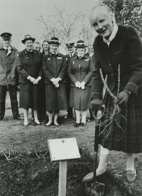 Photograph of Planting the Humanity Rose to Celebrate the 125th Anniversary of the British Red Cross; RCB/2/35/7/10