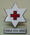 Badge: Tonga Red Cross [back of pin missing]