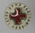 Red Cross Centenary medal 1963: Inter Arma Caritas 1863