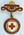 County of Dumbarton badge