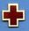 American Red Cross Service pin