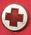 American Red Cross Service pin [foreign]