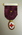 Divisional President badge