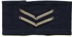 Navy blue cotton with 2 chevrons: Section Leader