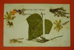 British Red Cross and Order of St John cream postcard decorated with dried flowers and a leaf