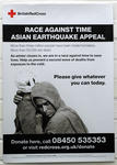 Poster produced for the British Red Cross Asian Earthquake Appeal, 2005