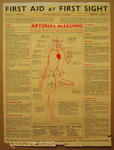 Large chart: First Aid at First Sight Chart No. 1 Arterial Bleeding. Showing the most likely injuries with the appropriate first aid treatment. Issued under Medical and Surgical Advice by the Lombio Company, on sale at Chemists and Booksellers everywhere.