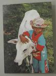 Notecard featuring a colour image of a young boy with a cow
