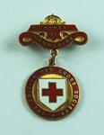 British Red Cross County Badges County of Hampshire