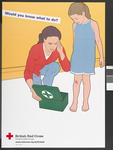 Large poster showing a young girl who has cut her knee and is crying. A woman crouches next to her with an open first aid box in front of her. The words 'Would you know what to do?' appear on the left hand side.
