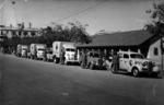 Black and white photograph. Relief to to India and Pakistan. The Ambulance and Utility Car convoy presented by the B.R.C.S. before departure to Multan. 3 February 1948.