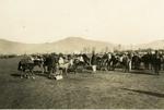 Black and white photograph of the British Red Cross mission loading up at Mavrozo 1912-1913