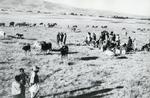 Black and white photograph of drought in Ethiopia 1973